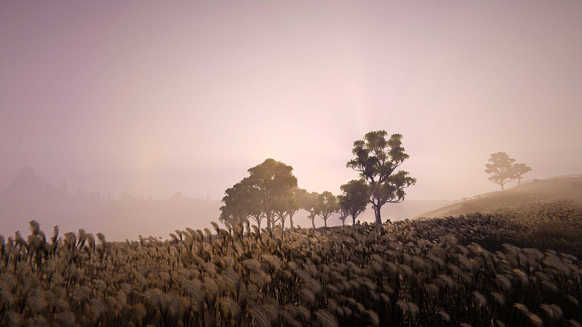 aeghad_vp's tweet image. Silver grass field.

#OnceHuman #oncehumanmobile #openworld #gaming #VirtualPhotography @OnceHuman_