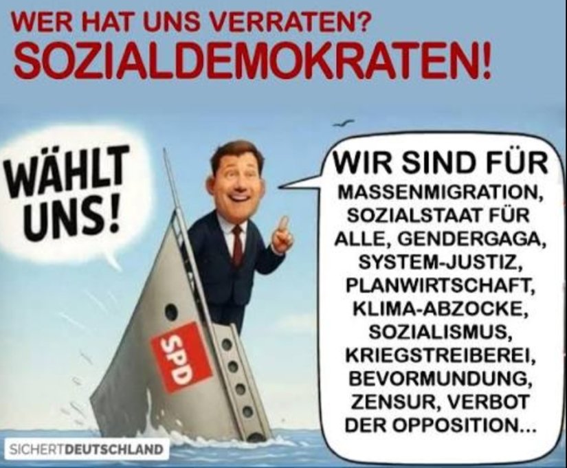 Plastebroiler 💙🇩🇪 tweet media