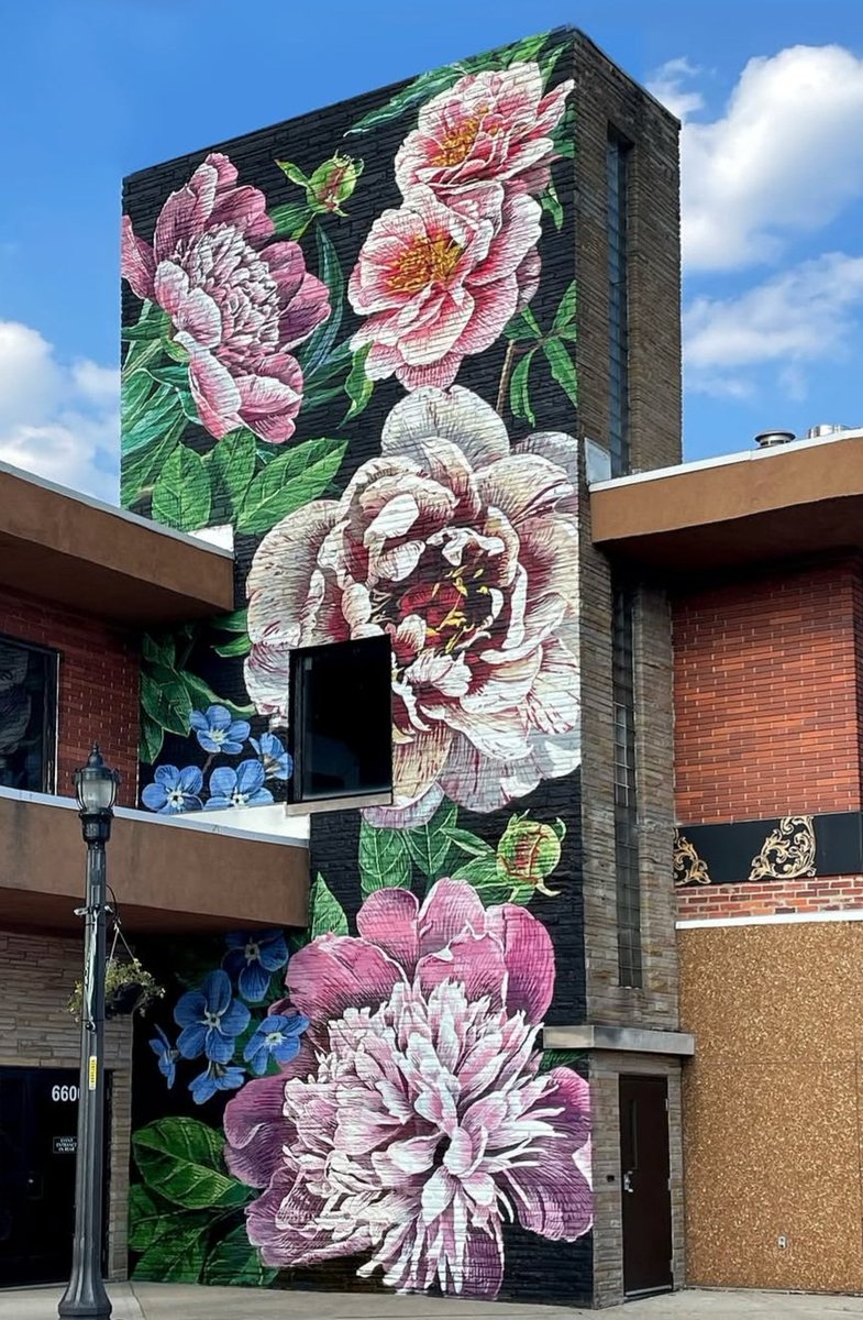 nouatre's tweet image. #streetart. #urbanart. #mural
By : Ouizi ( Louise Jones )