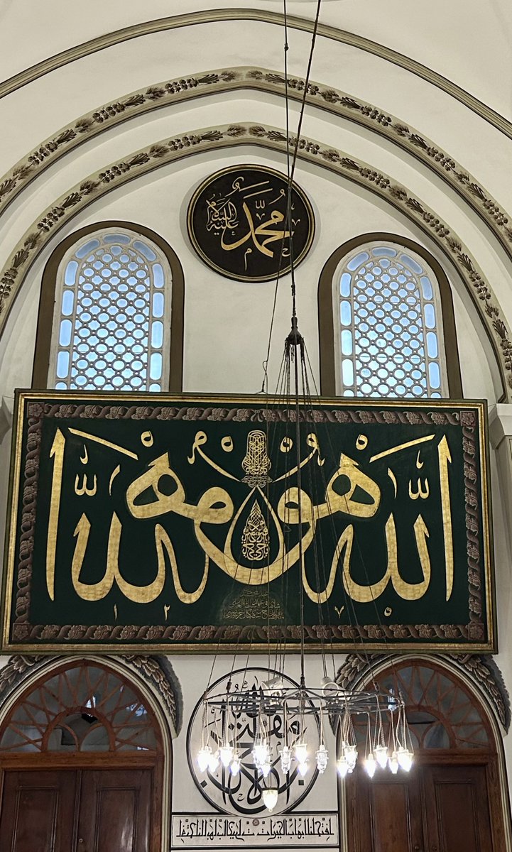feyza' tweet media