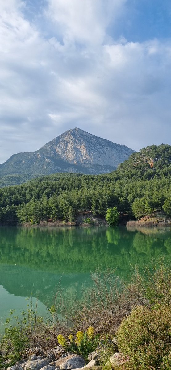 Kawaiikartoska tweet media