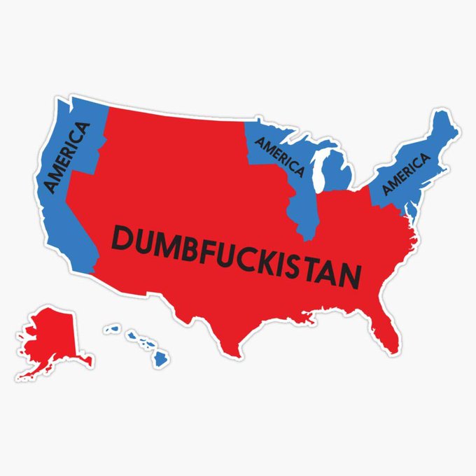 MAYBE DUTCH tweet media