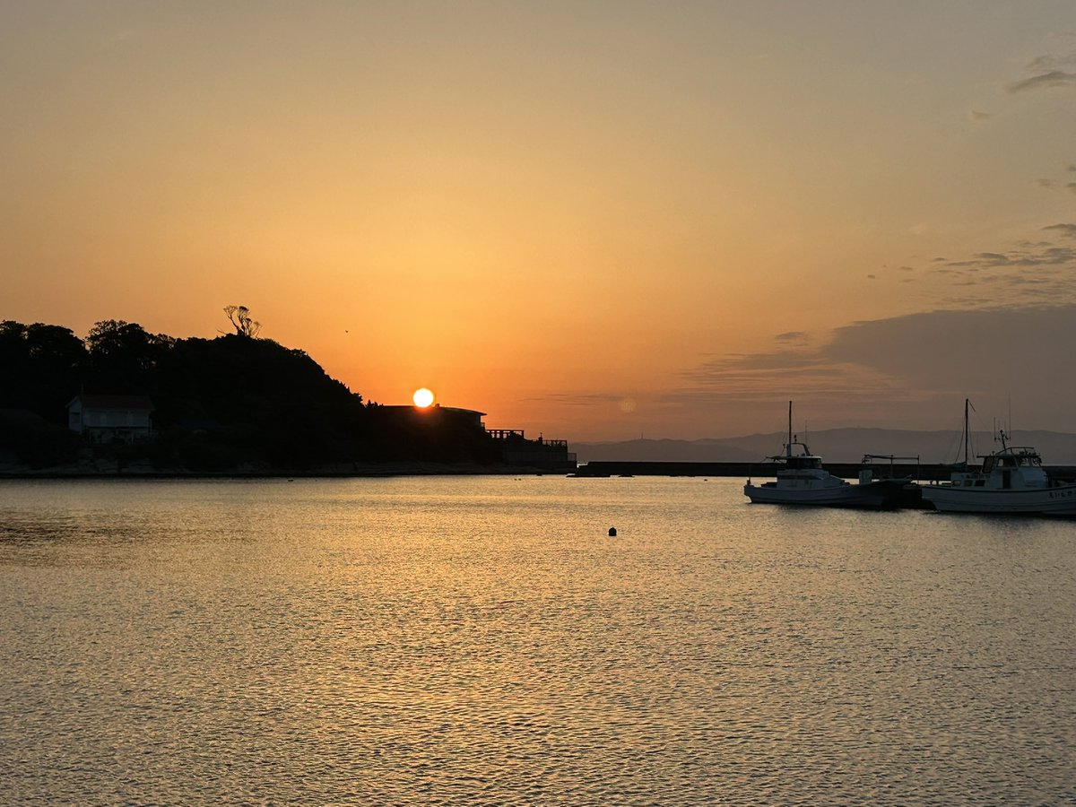 tsurikichi junpei tweet media