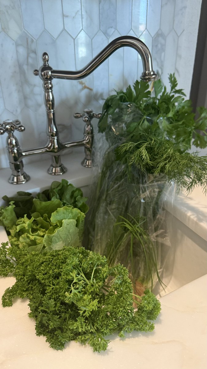 HealthyTravel4U's tweet image. DID YOU KNOW … buying hydroponically grown produce that still has the roots on it can be replanted &amp;amp; keeps growing in your #garden? 🪴 #BuyLocal &amp;amp; save #money.

HAPPY #shopping!