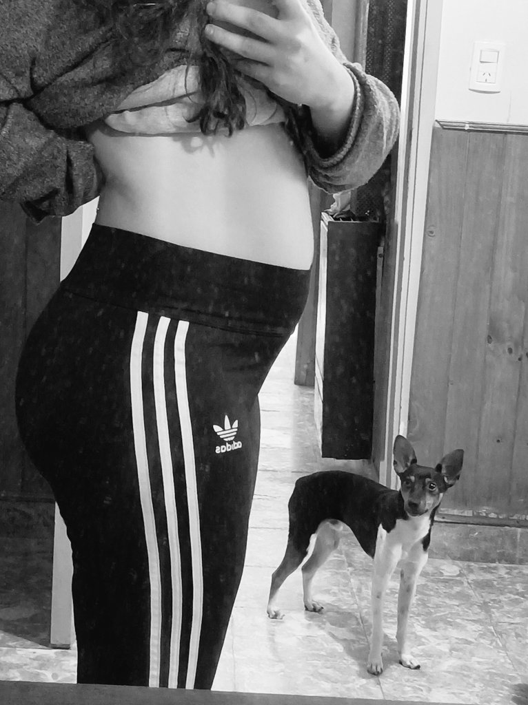 malemarengo's tweet photo. Sábado de lluvia con el Tatu y la Vicky 🩷 https://t.co/rD8rCvBLsf