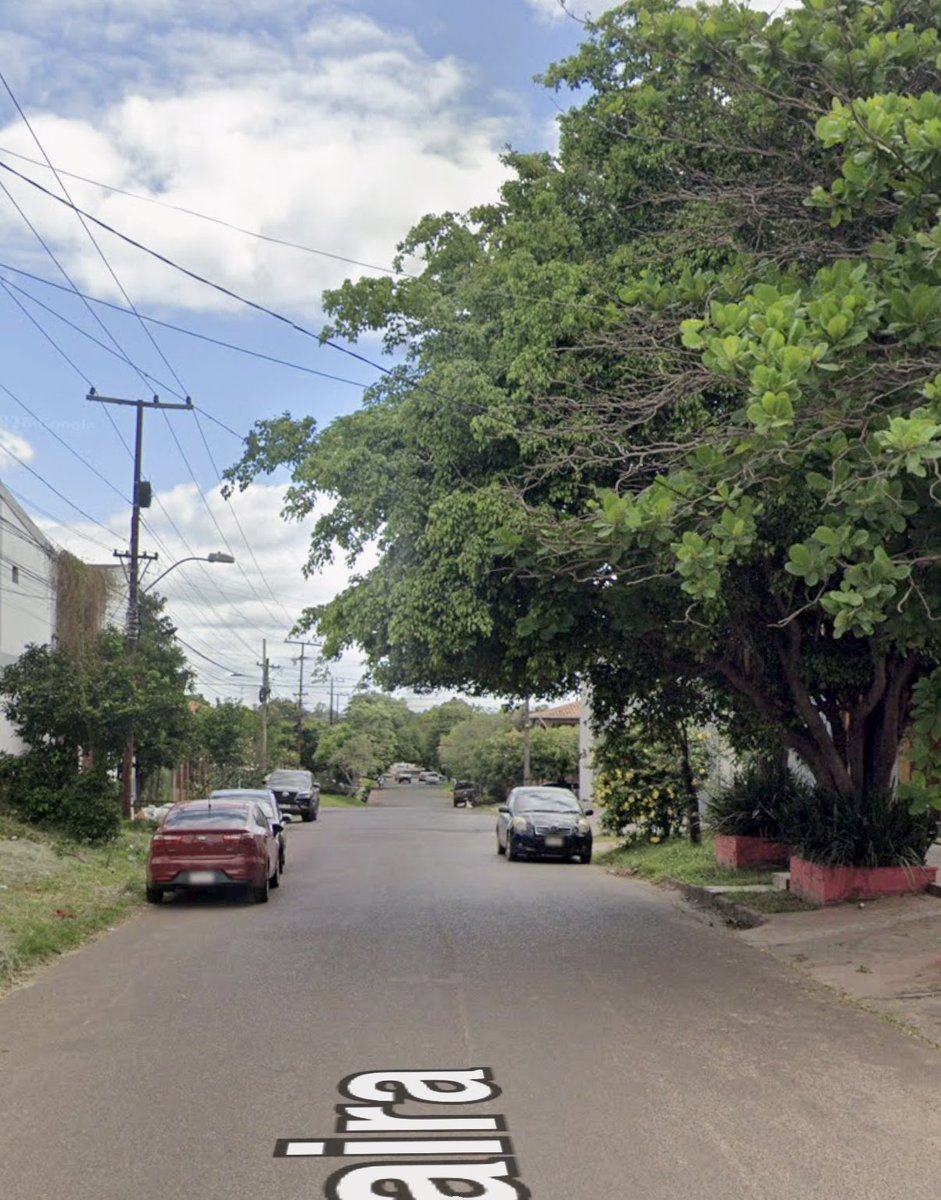 J. Raúl Insaurralde 🍄 tweet media