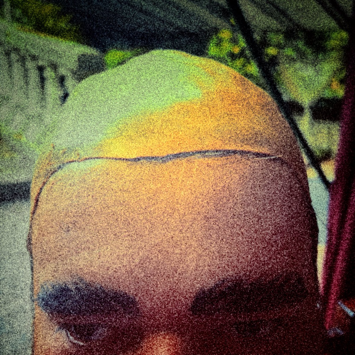 Sociedade da Virtude tweet media