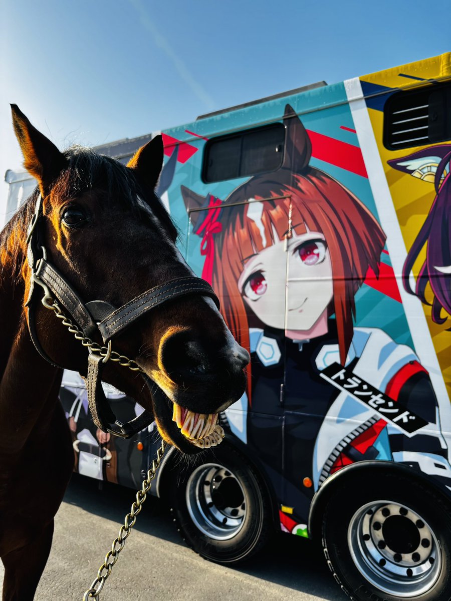 おーた部長👨‍🌾Yogibo ヴェルサイユリゾートファーム STAFF🌹 tweet media