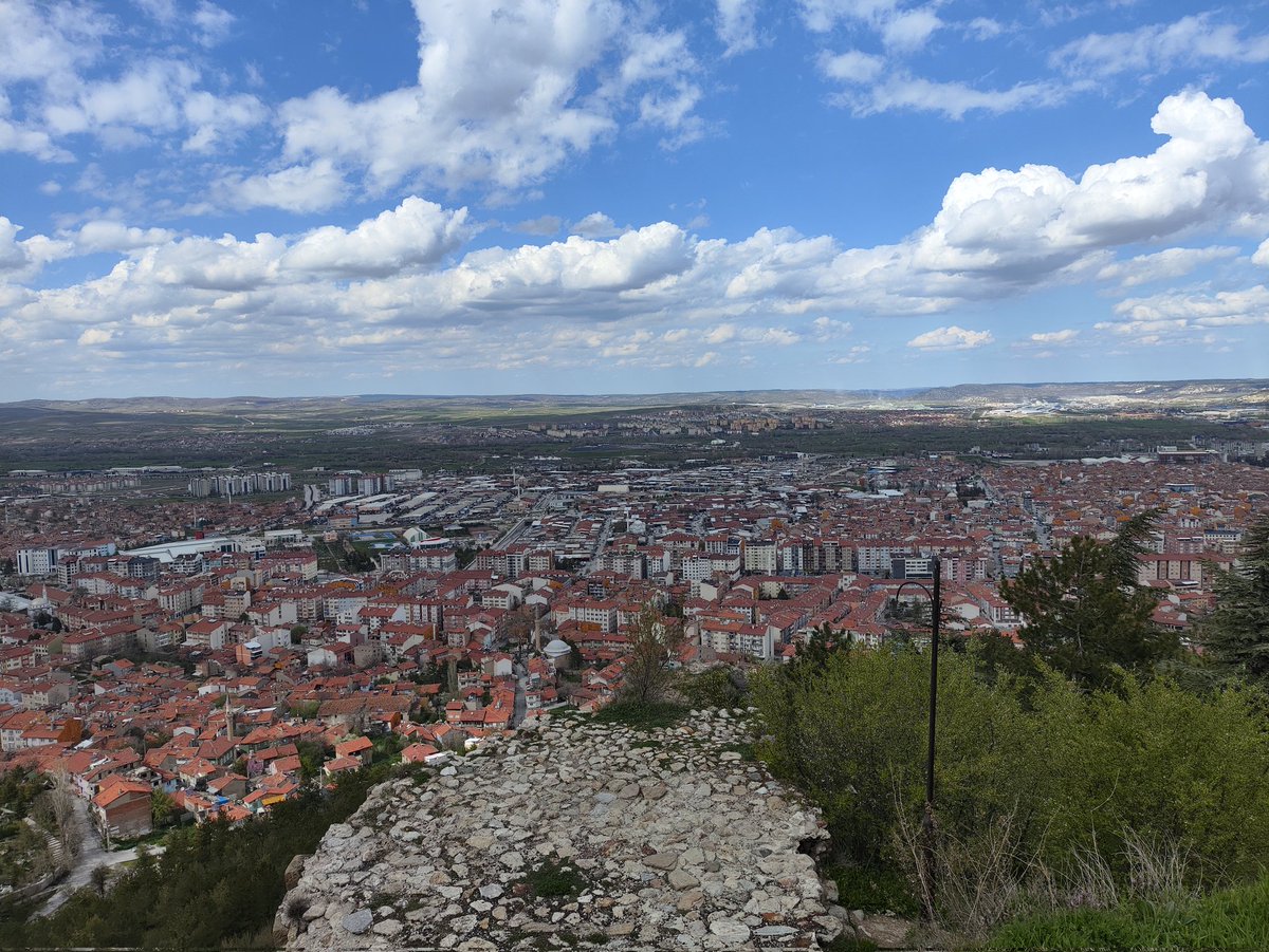 DrEminSERT tweet media