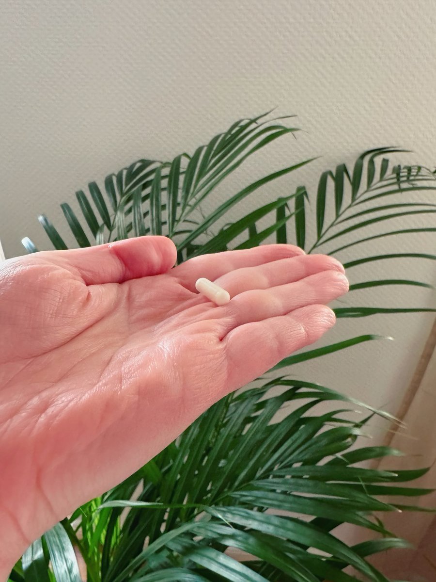 SaintPythia's tweet photo. [Werbung] Ich teste gerade Centrum Biotic+ IMMUN – eine Kombination aus Probiotika Mikronährstoffen in einer Kapsel. Enthalten sind 18 Kulturen sowie Vitamin C, Vitamin D &amp; Zink. Die Kapseln sind schmal und gut verträglich. #trnd_centrum #centrumbiotic #vitamine @trnd @Centrum https://t.co/3IPE9bbe9b