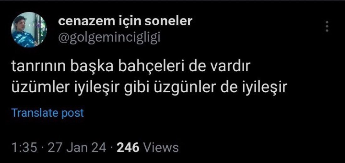 m. tweet media