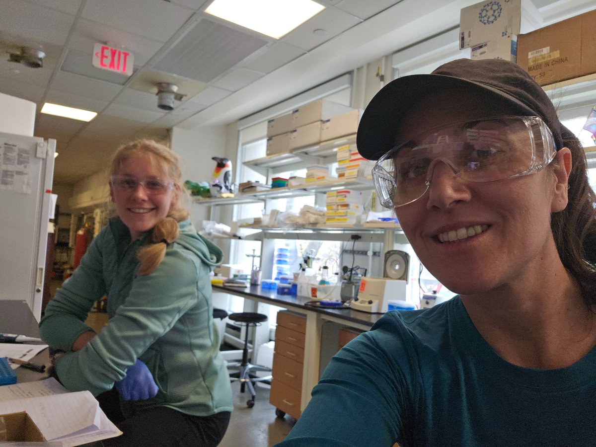 Katie Galloway tweet media