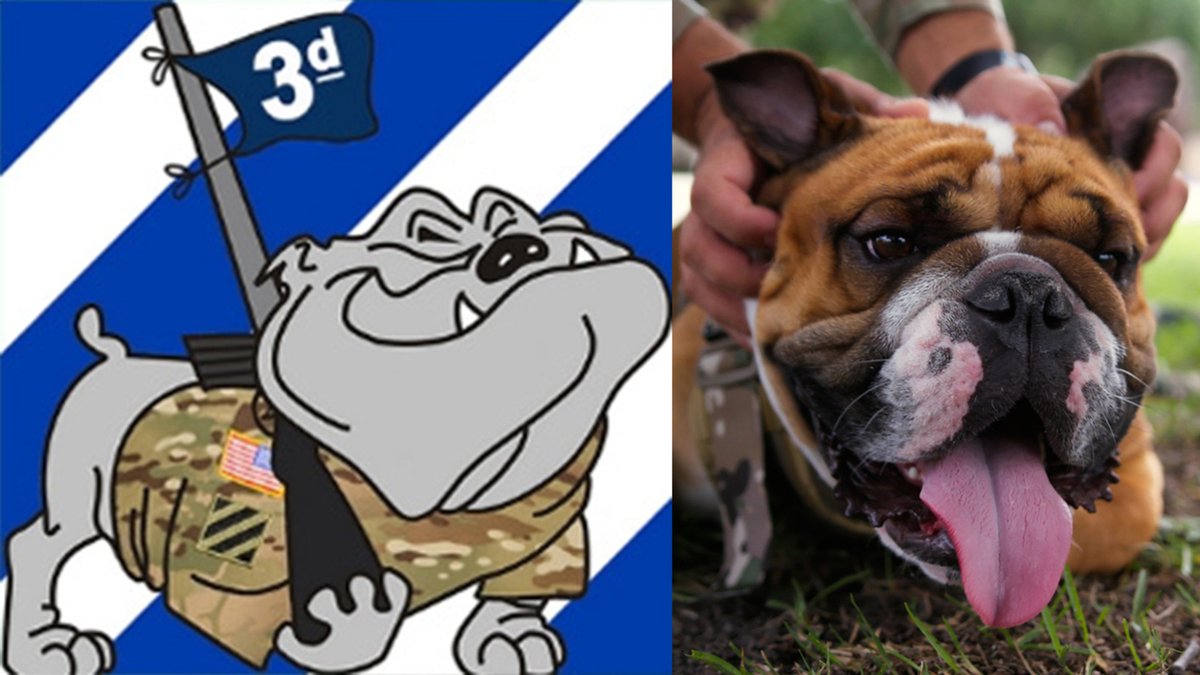 3rd Infantry Division tweet media