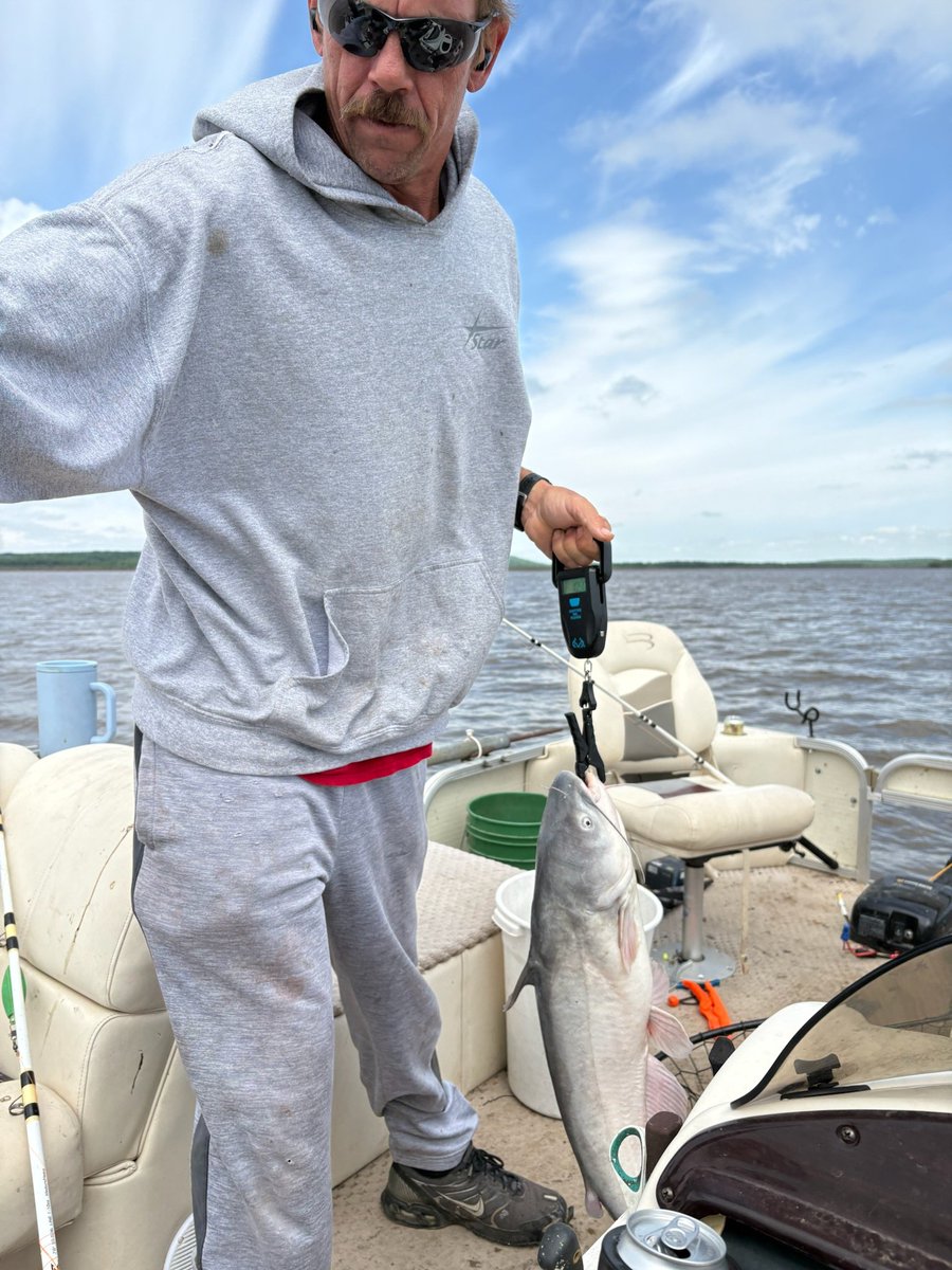 unKleDonkey951 tweet media