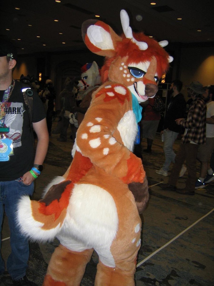 flame ➡️ FWA tweet media