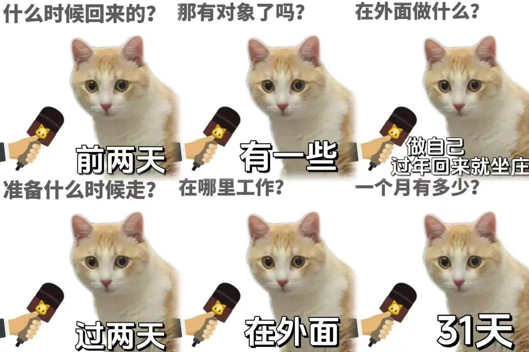 Lucilena Rodrigues tweet media