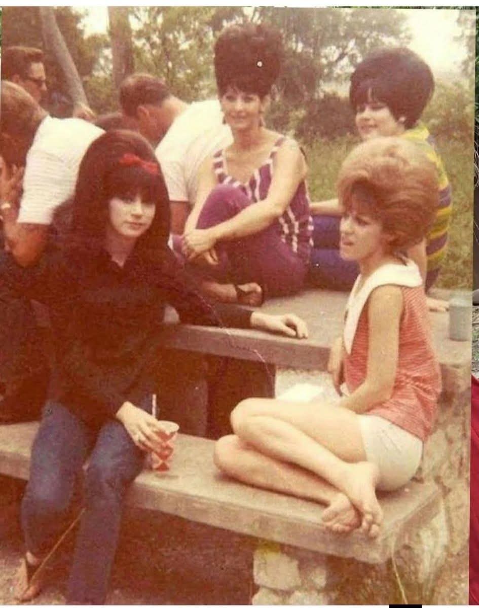 Alice 👑 tweet media