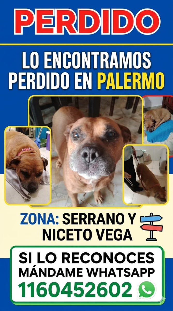 ¿Se acuierdan de Borges, el perro en manos de los linyeras? Lamentablemente la persona que se quedó con él tiene problemas de espacio  y necesita ponerlo en adopción. Tiene 8 años pero es un dulce de leche. ¿Me ayudan con un RT? Muchas gracias.