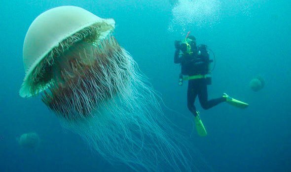 𝖍𝖊𝖆𝖑𝖙𝖍𝖘𝖙𝖆𝖗 tweet media