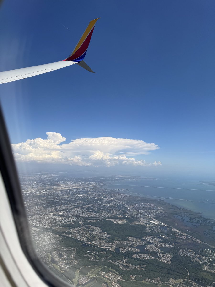 Haze⁷ ⟭⟬ 🐳🌙 🍉 ECHO ✨ tweet media