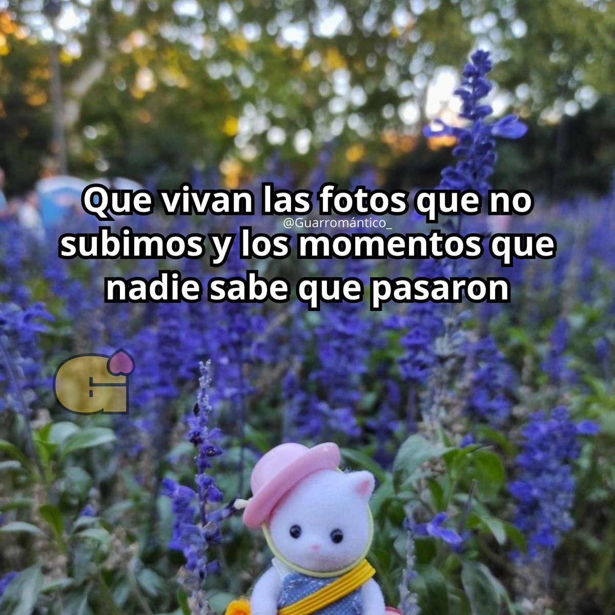 El Guarromántico tweet media