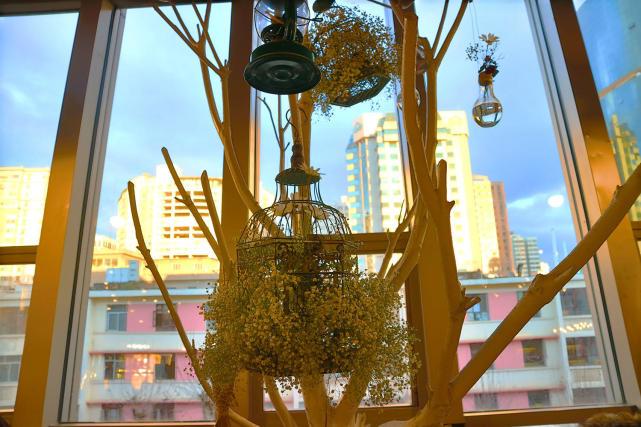 piotr rachelski tweet media