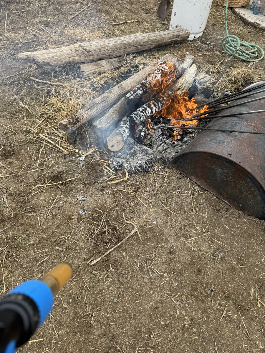 KathyFortune9's tweet photo. Just earning my supper 😁 https://t.co/RV0YiIDVGq