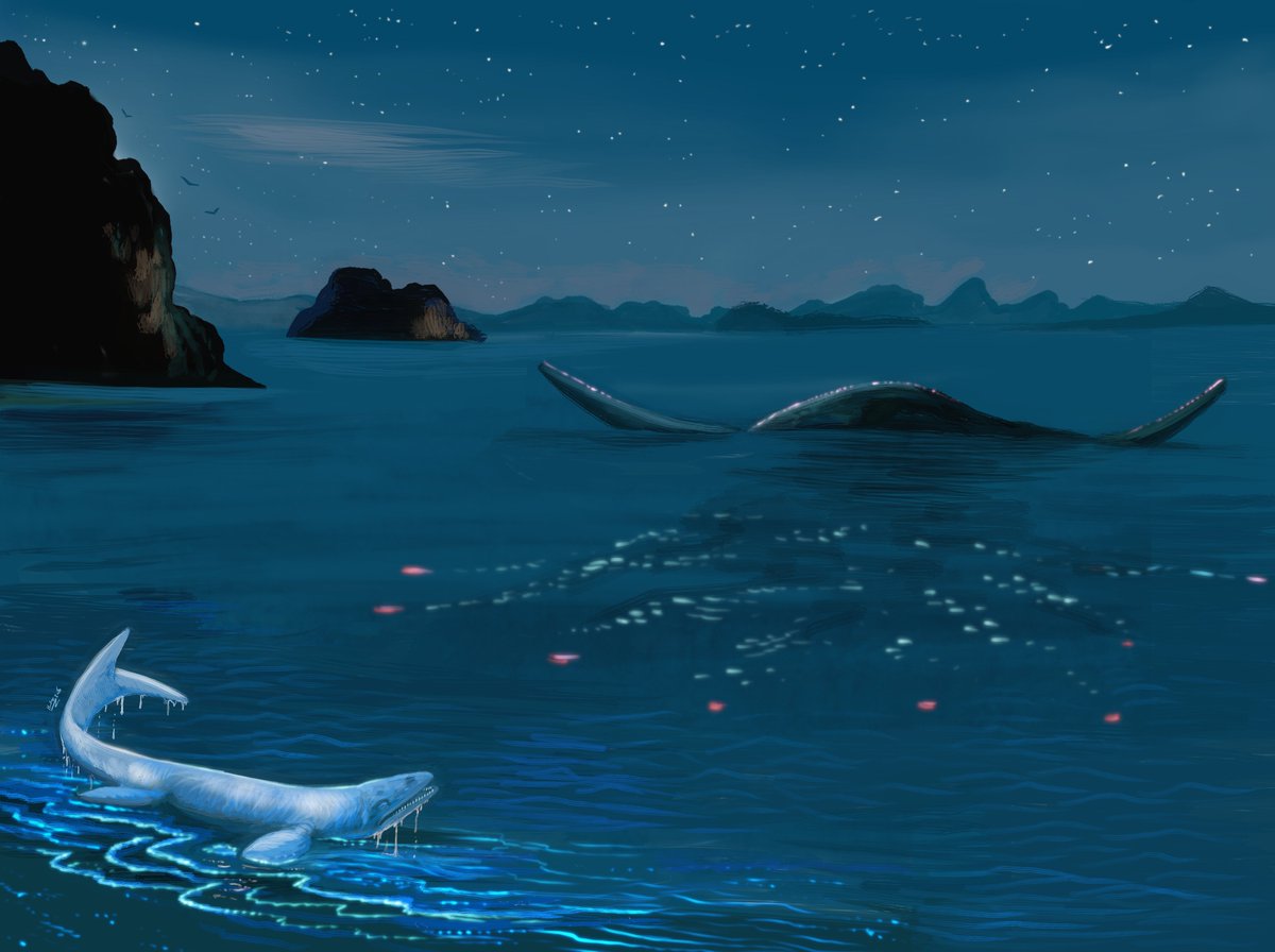 Hodari Shadowalker ❄️🐆 tweet media