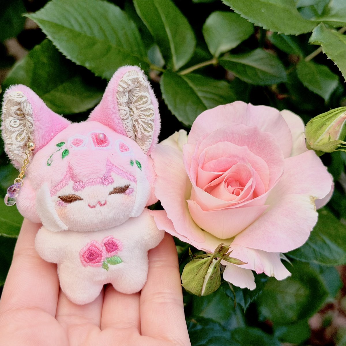 今年の初マチルダとバラおあげちゃん💕🌹
りんこさんの立体的&amp;ピンク色のグラデーションの刺繍🪡がかわいくてお気に入り🩷

#rinko_photo