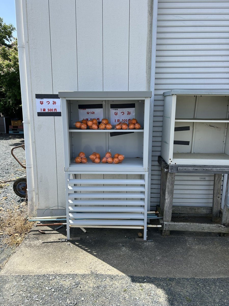 今日は　つきいちの　Nicoeマルシェです‼️
今回は　出店はしませんが
店舗の中に常設の売り場があります。
その場所にて『なつみ』『せとかジュース』『せとかのジャム』『せとかのマーマーレイド』を販売しております。
また自宅の前にも『なつみ』を販売をしておりますので是非よろしくお願いします