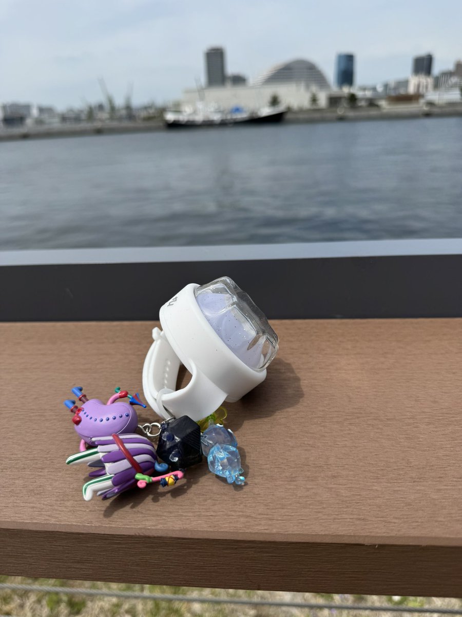 satomi🦅👑 tweet media