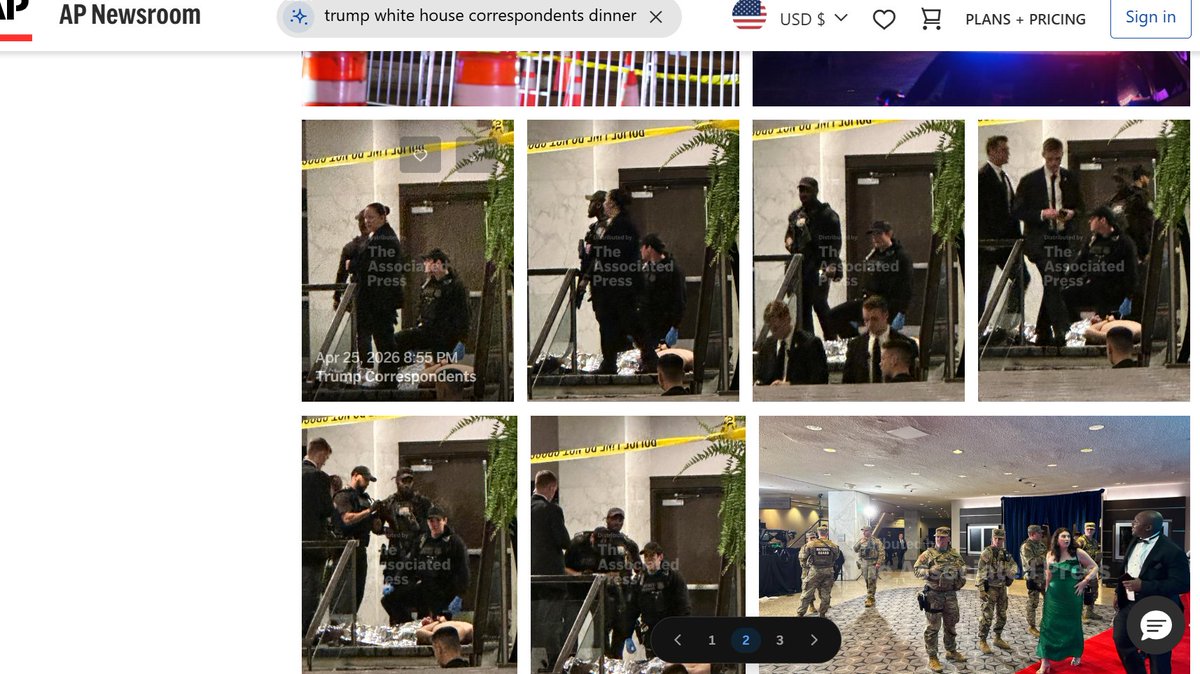 AnnaBellaBlue tweet media