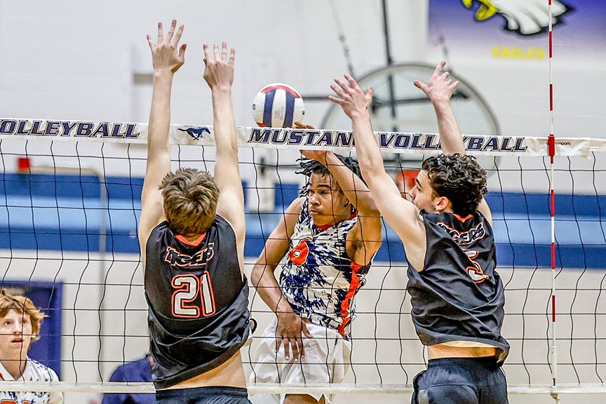 Illprepvb.com tweet media
