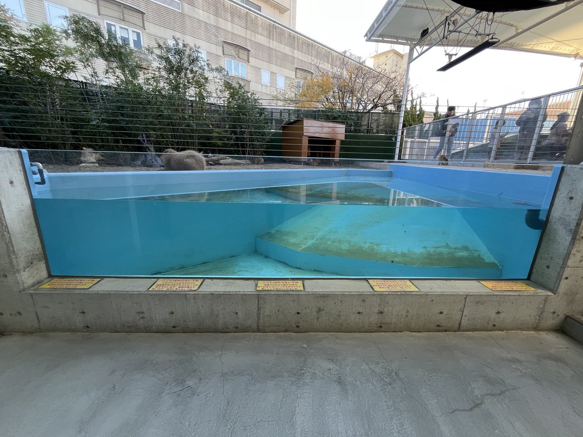 かぶつ tweet media