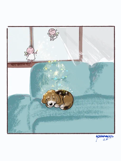 今日の絵日記
犬が寝てる時妖精になってずっと見守っていたい
#illustrationart 
