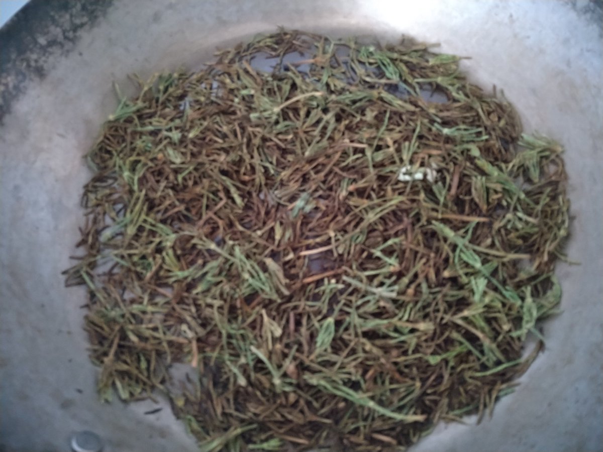 香害から逃げて
春は
野草や山菜採りをしております

スギナ茶を作るため
スギナを洗って乾かし
小さく刻み、フライパンで乾煎り

この香りがとても良く
香害臭をかき消してくれます

香害製品の毒も中和され
消えているといいな