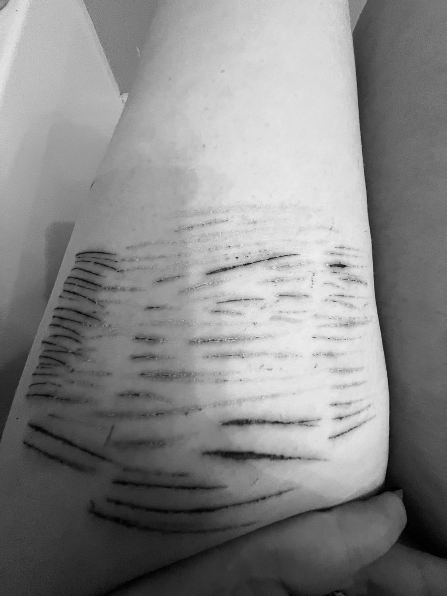 mosscoveredgrave shtwt tweet media