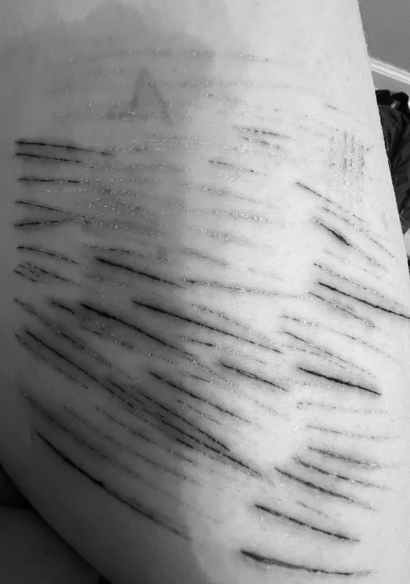 mosscoveredgrave shtwt tweet media