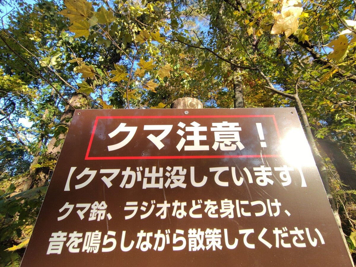 ライブドアニュース tweet media