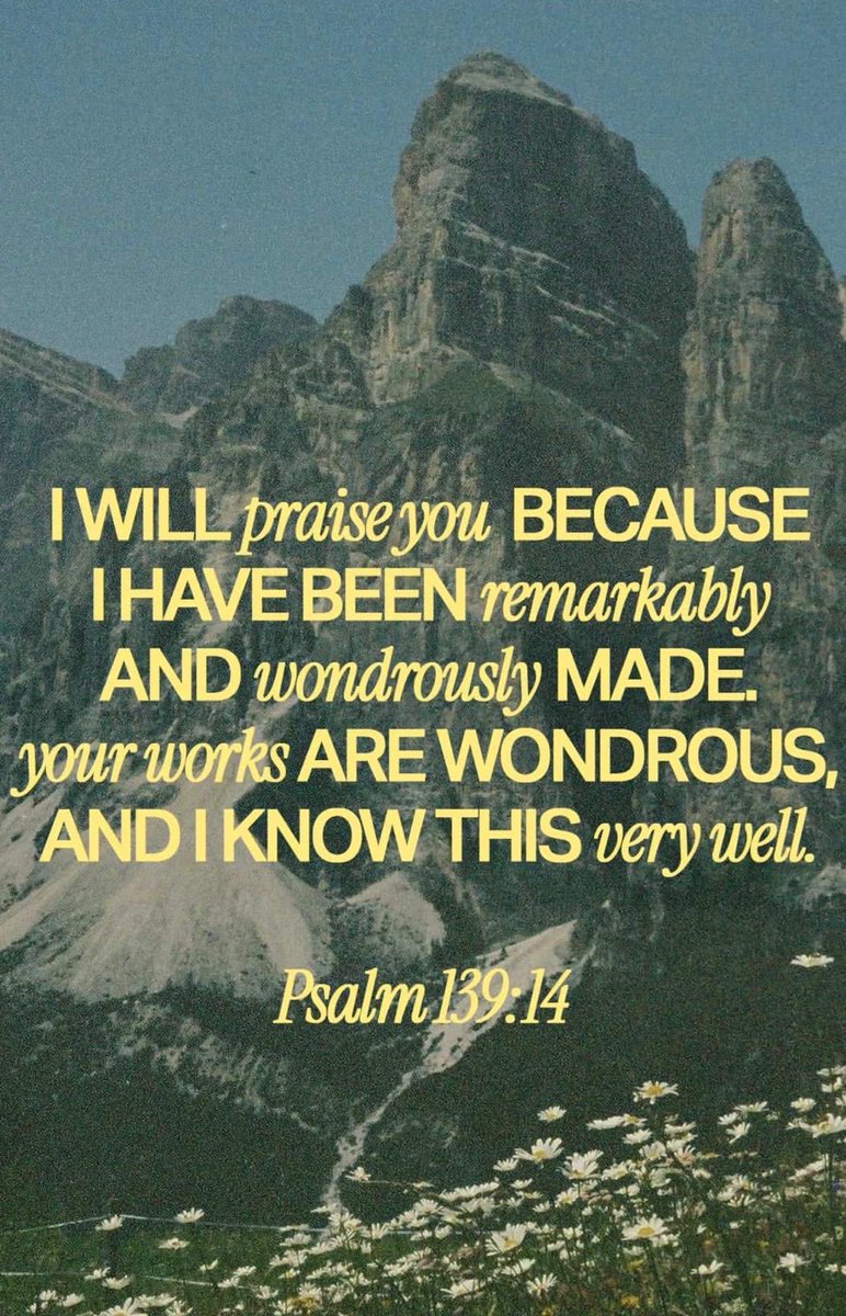 Andrew Bridgen tweet media