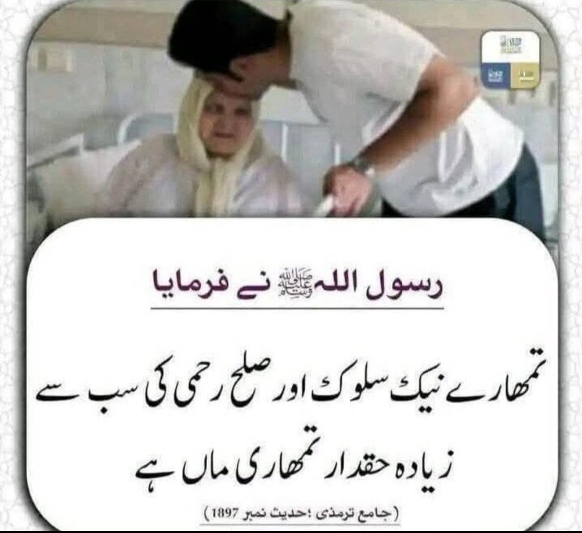 CivilSupermacy's tweet photo. رسولِ کریم ﷺ نے ہمیں دولت کا معیار سکھا دیا—
وہ دولت جو اخلاق، نرمی اور حسنِ سلوک میں چھپی ہے۔
ماں باپ کے قدموں میں جھک جانا، اُن کے دل کی بات سمجھ لینا،
یہی وہ خزانہ ہے جو کبھی ختم نہیں ہوتا۔

جس کے اخلاق خوبصورت ہوں، وہی حقیقت میں سب سے امیر ہے۔
ﷺ https://t.co/3GZSW2tChy