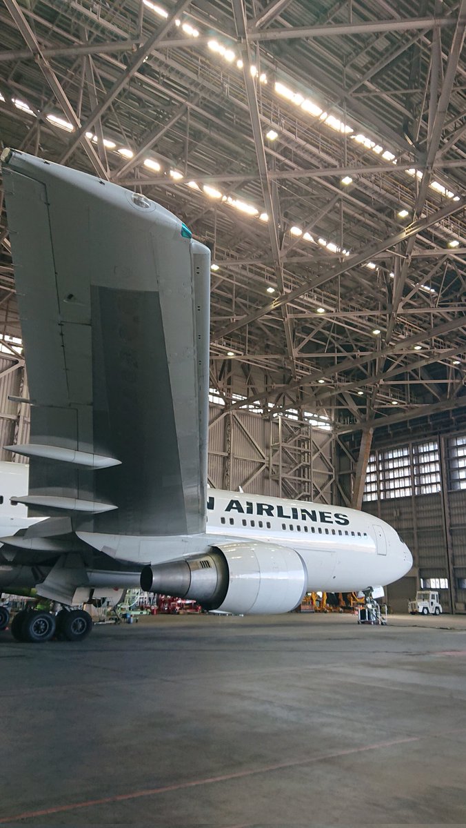 tora_san✈︎ tweet media