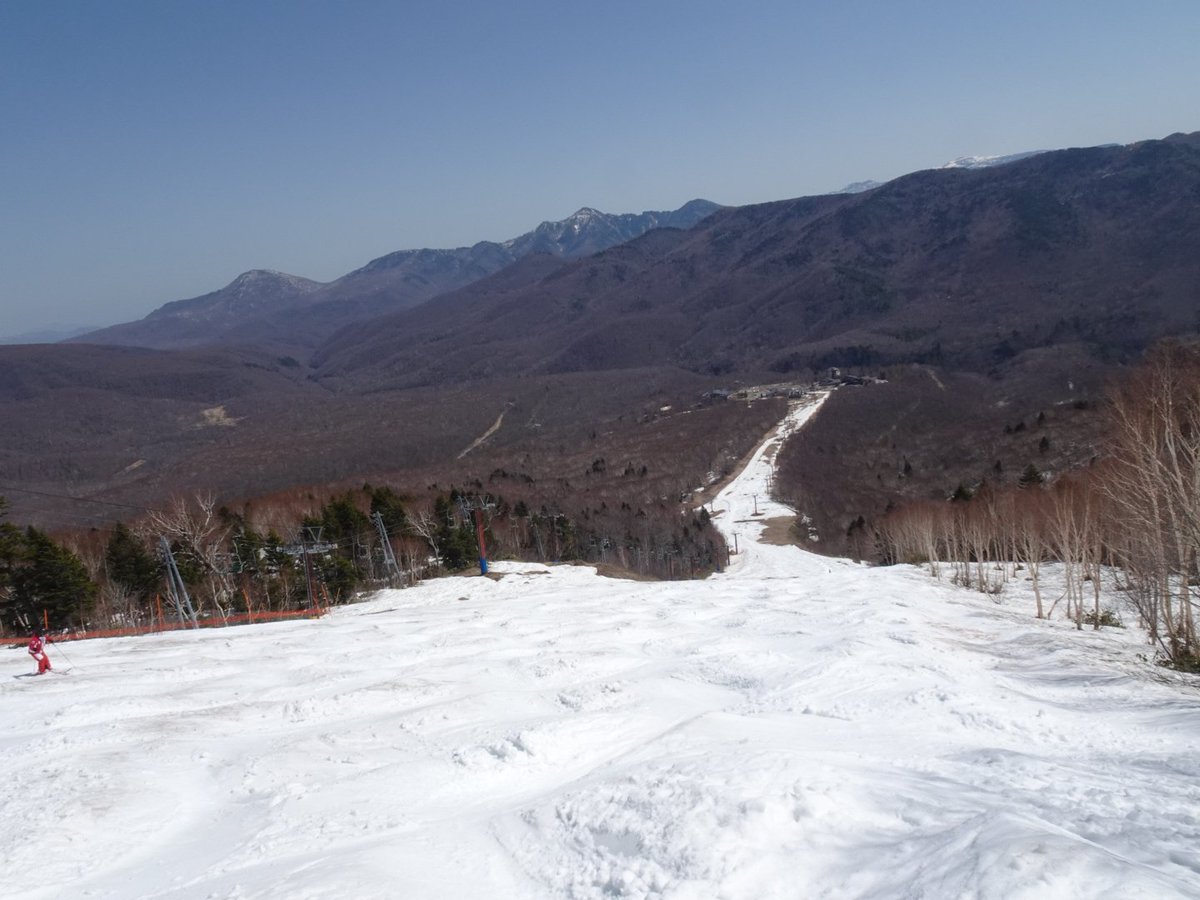 2θ(にしーた)@⛷️ tweet media