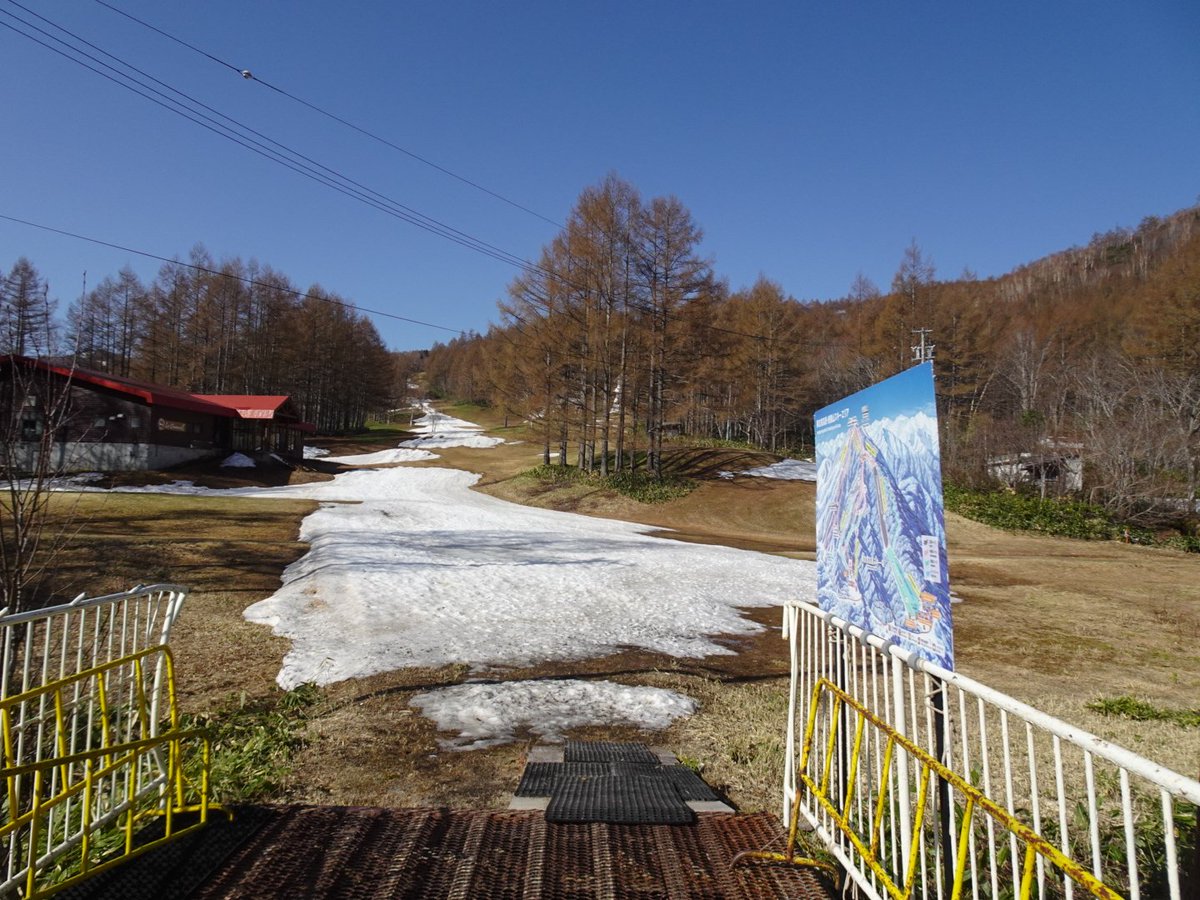 2θ(にしーた)@⛷️ tweet media