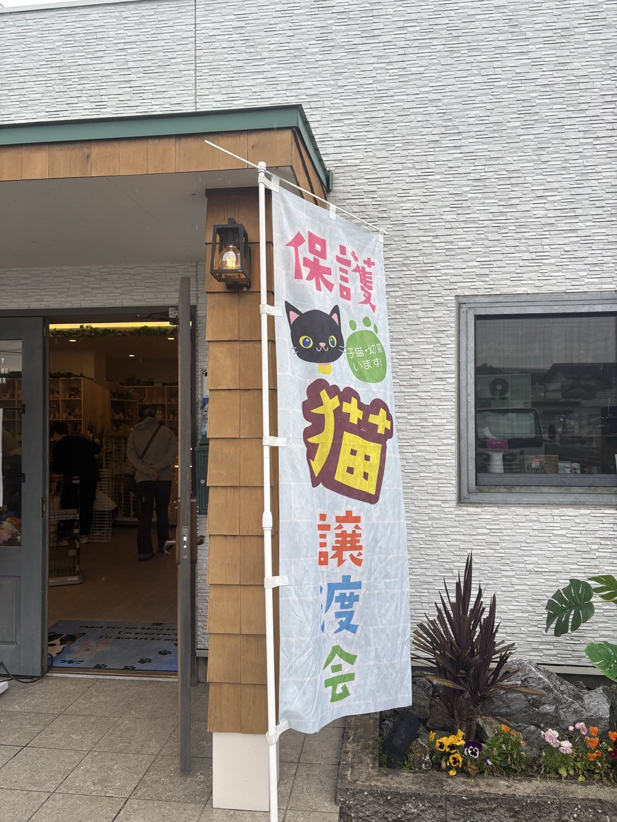 NPO法人保護猫ハウスそら🌈 tweet media