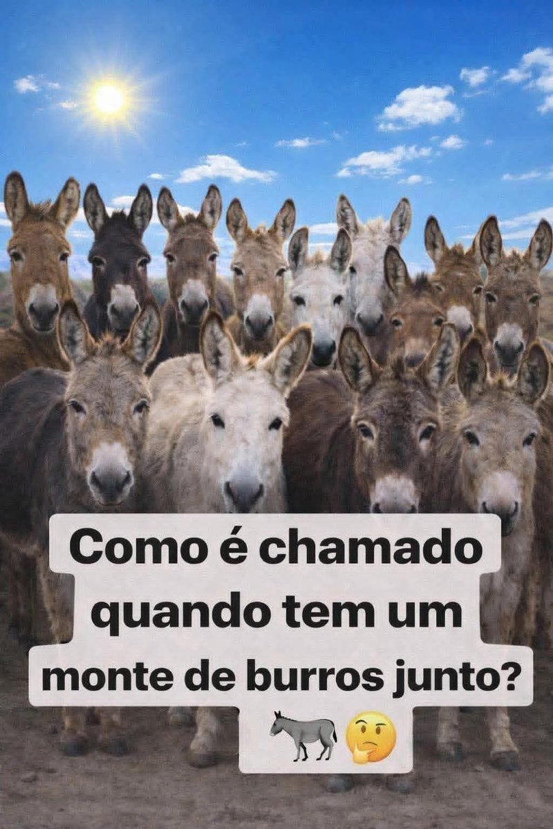 WriterRRondon's tweet photo. @Rafayse aqui tem uma, responde ! https://t.co/w4LM3jtdUB