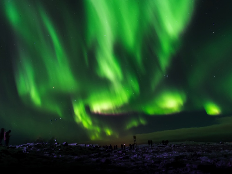 不滅の王 tweet media