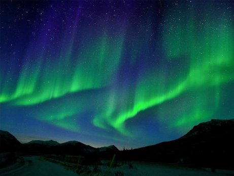 不滅の王 tweet media