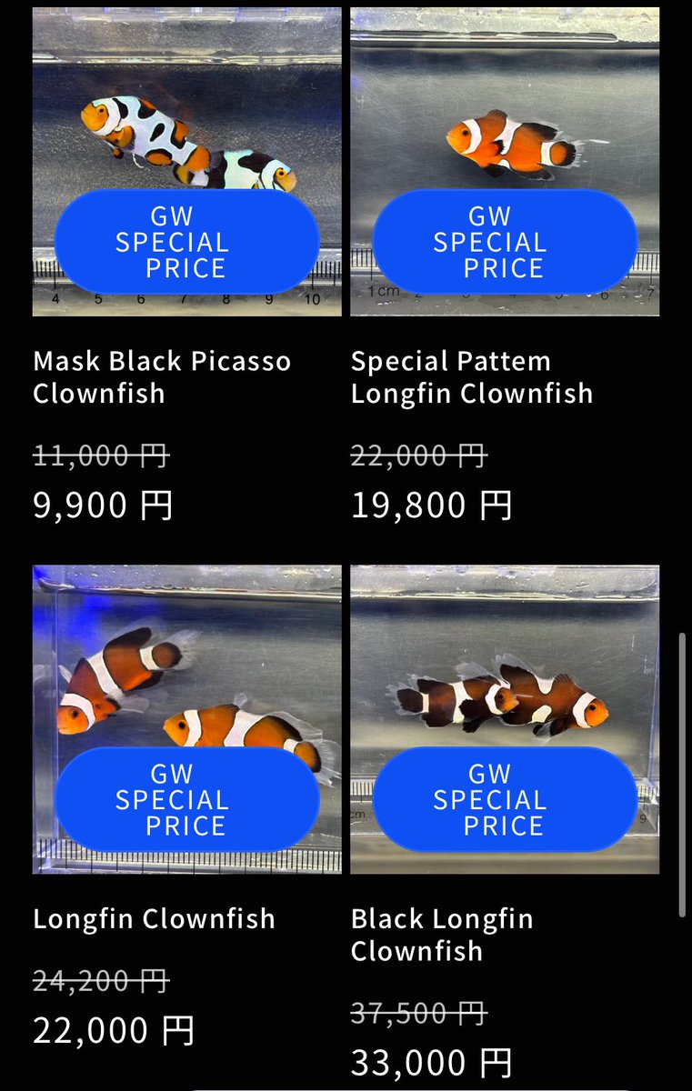 おはようございます☀️

FISH UPはゴールデンウィークイベント始まっております‼️

クマノミロングフィン
￥19,800〜
ナガレハナウルトラグレード
￥9,900〜

GWスペシャルプライスになってます🪸🐟✨

ご来店・通販のご利用お待ちしております🙇‍♀️🙇‍♂️