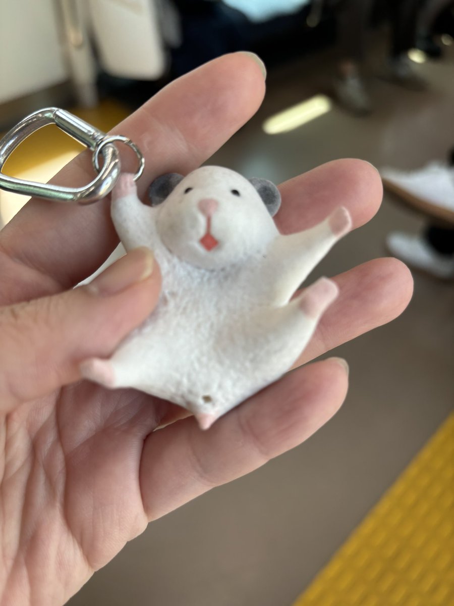 ﾔﾆ(ง ˘ω˘ )วｵﾂ tweet media